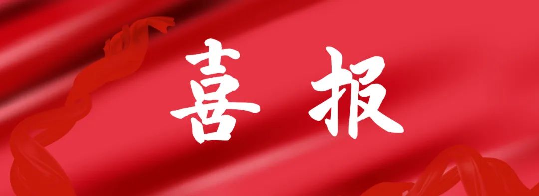 喜报丨飞洋咨询荣获河南省招标投标协会“2023年度诚信自律建设先进单位 、先进个人”称号 