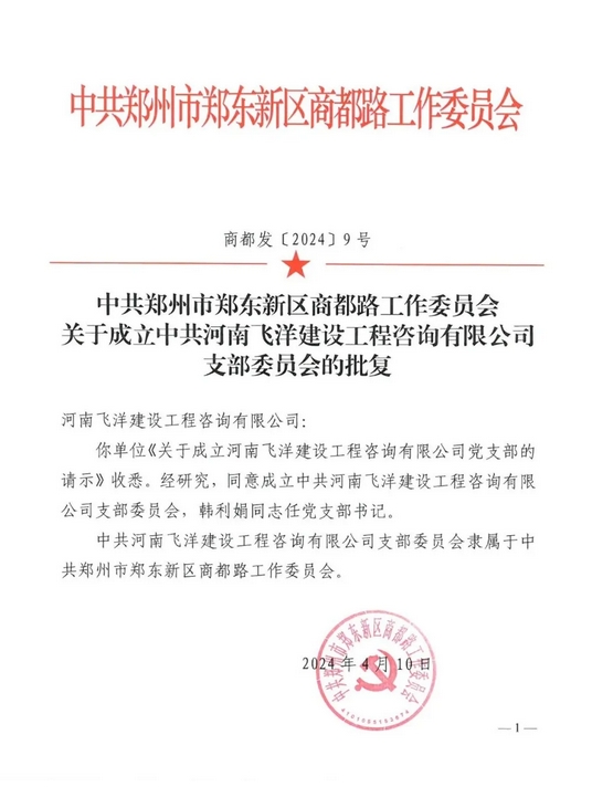 喜报丨热烈祝贺中共河南飞洋建设工程咨询有限公司支部委员会成立！ 